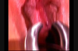 'Nina Hartley's Guide to Female Ejaculation' screenshot nº 46