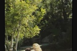 Captura de 'White Panty Chronicles 12' nº 82