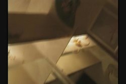 Captura de 'White Panty Chronicles 12' nº 118