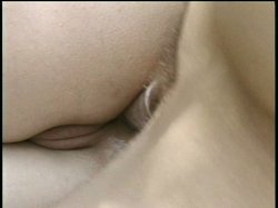Captura de 'More Anal, More Often' nº 128