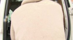 Captura de 'Real Housewives Vol. 23' nº 84