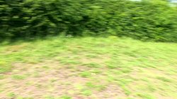 'British Sluts Love Dogging' screenshot nº 41