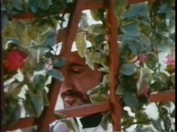 Captura de 'Linda Lovelace Collection' nº 62