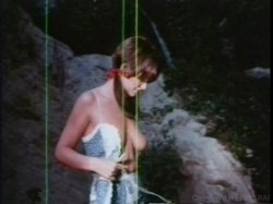 Captura de 'Linda Lovelace Collection' nº 92