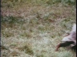 Captura de 'Linda Lovelace Collection' nº 98