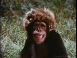 Captura de 'Linda Lovelace Collection' nº 99