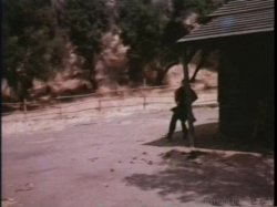 Captura de 'Linda Lovelace Collection' nº 103