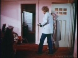 Captura de 'Linda Lovelace Collection' nº 118
