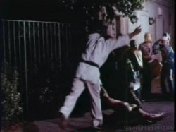Captura de 'Linda Lovelace Collection' nº 121