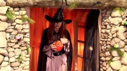 'Special Halloween' screenshot nº 83