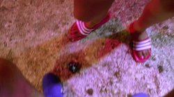 'Der Backstage Ficker 9' screenshot nº 108