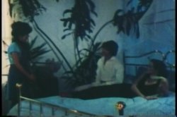 'Annette Haven Collection' screenshot nº 2
