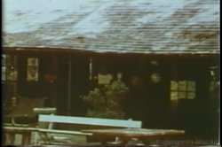'Annette Haven Collection' screenshot nº 22