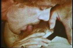 'Annette Haven Collection' screenshot nº 29