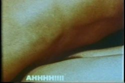 'Annette Haven Collection' screenshot nº 35