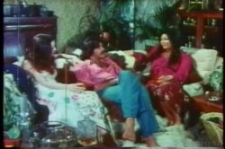 'Annette Haven Collection' screenshot nº 45