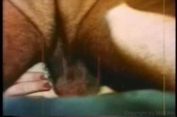 'Annette Haven Collection' screenshot nº 59