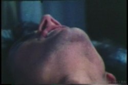 'Annette Haven Collection' screenshot nº 6
