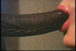 'Annette Haven Collection' screenshot nº 65