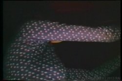 'Annette Haven Collection' screenshot nº 115