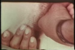 'Annette Haven Collection' screenshot nº 12
