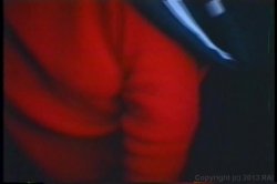 Captura de 'Kitty Shane Collection' nº 111