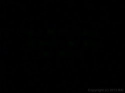 Captura de 'Peepshow Loops 409: 1970's' nº 1