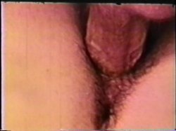 Captura de 'Peepshow Loops 409: 1970's' nº 130