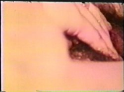 Captura de 'Peepshow Loops 409: 1970's' nº 134