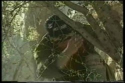 'Jacqueline Lorians Collection' screenshot nº 65