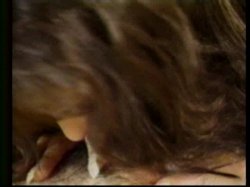 'Favorite Blowjobs 2' screenshot nº 6