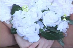 'Here Cum the Brides 3' screenshot nº 1