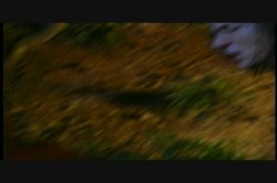 'First Impulse' screenshot nº 40