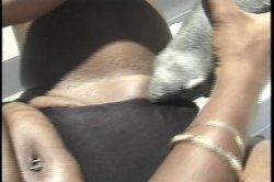 'Ebony Muff Divers 2' screenshot nº 15