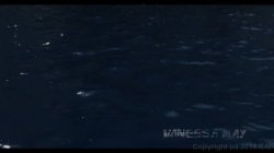 'Sea Creatures' screenshot nº 1
