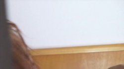 'Pervs On Patrol 27' screenshot nº 62
