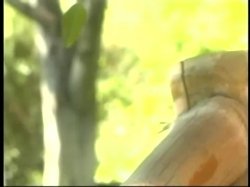 'Just All Girl Sex! Volume #4' screenshot nº 32