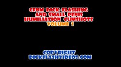 Captura de 'CFNM Dick-Flashing and Small Penis Demeaning Cumshots' nº 1
