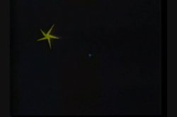Captura de 'Latin Trisexual Encounters 8' nº 6