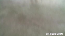 Captura de 'Chicas de Porno Vol. 4' nº 89