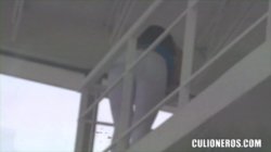 Captura de 'Chicas de Porno Vol. 4' nº 124