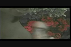 Captura de 'Three Cheers for Pussy' nº 26