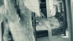 Captura de 'Hallo Neighbor' nº 5