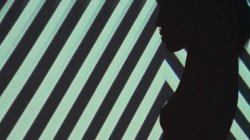 'The Black Stripes' screenshot nº 10