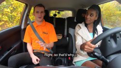 Captura de 'Fake Driving School Volume 14' nº 1