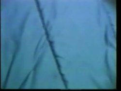 Captura de 'Lovin' Spoonfuls 36' nº 119