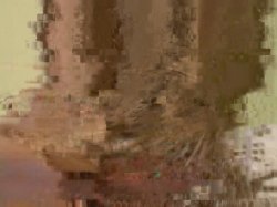 'Whale Tail'n Vol. 2' screenshot nº 44
