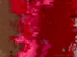 'Whale Tail'n Vol. 2' screenshot nº 48