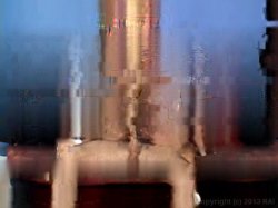 'Whale Tail'n Vol. 2' screenshot nº 80