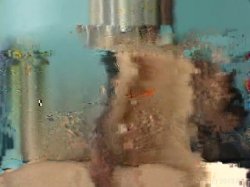'Whale Tail'n Vol. 2' screenshot nº 104